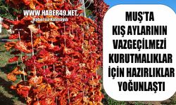 Muş’ta kış mesaisi başladı