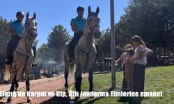 Elazığ’da Harput ve Cip Mesire Alanı Atlı Jandarma Timlerinin Korumasında