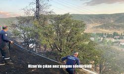 Bitlis’in Hizan İlçesinde Anız Yangını Paniğe Yol Açtı