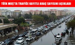 Muş’ta trafiğe kayıtlı araç sayısı açıklandı