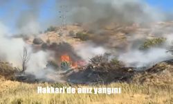 Hakkari-Yüksekova Karayolu’nda Anız Yangını Alarmı