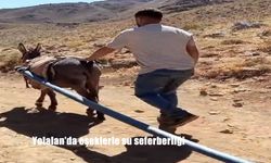 Yolalan’da İçme Suyu İçin Eşeklerle Seferberlik Başlatıldı