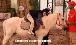 Diyarbakır’da Engellilere Atla Terapi Desteği