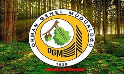 Orman Genel Müdürlüğü 262 daimi işçi alacak