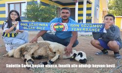 Elazığ’da Fenerbahçe Sevgisi: Sadettin Saran Başkan Olunca Adak Kesildi