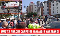 Muş’ta feci kaza: Yayaya otomobil çarptı