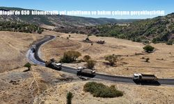 Bingöl’de 650 Kilometrelik Köy Yolu Asfaltlama ve Bakım Çalışmaları Tamamlandı