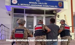 Bingöl’de Kesinleşmiş Hapis Cezası Bulunan Zanlı Jandarma Operasyonu ile Yakalandı