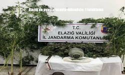 Elazığ’da uyuşturucuyla mücadele: 1 tutuklama