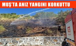 Muş’ta anız yangını paniği