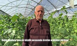 Erzurum Uzundere’de Doğu Anadolu’nun En Büyük Serasında Üretim Hız Kesmeden Devam Ediyor