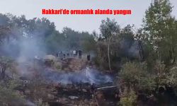 Orman Yangını Korkuttu: Ekipler Müdahale Etti
