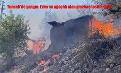 Rüzgar Yangını Büyüttü: Evler ve Orman Alevlere Teslim