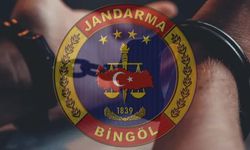 Bingöl’de Kesinleşmiş Hapis Cezası Bulunan Zanlı Jandarma Tarafından Yakalandı