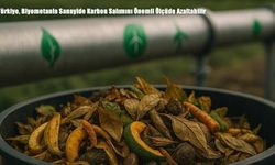 Türkiye, Biyometanla Sanayide Karbon Salımını Önemli Ölçüde Azaltabilir