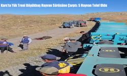 Kars’ta Yük Treni Büyükbaş Hayvan Sürüsüne Çarptı: 5 Hayvan Telef Oldu