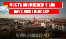 Muş'ta sıcaklık düşüyor, nem yükseliyor: İşte 5 günlük hava durumu