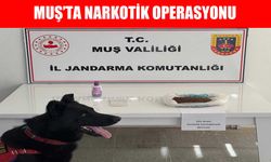Muş’ta uyuşturucu operasyonu: 2 kişi gözaltına alındı