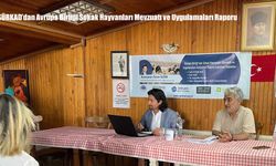 SÜRKAD’dan Avrupa Birliği Sokak Hayvanları Mevzuatı ve Uygulamaları Raporu