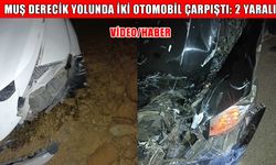 Muş Derecik yolunda iki otomobil çarpıştı: 2 yaralı