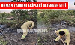 Muş’ta korkutan orman yangını