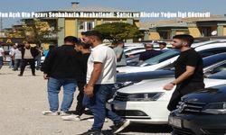 Van Açık Oto Pazarı Sonbaharla Hareketlendi: Satıcı ve Alıcılar Yoğun İlgi Gösterdi