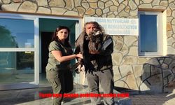 Bitlis’te Yaralı Kara Akbaba Kurtarıldı