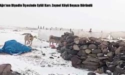 Ağrı’nın Diyadin İlçesinde Eylül Karı: Zeynel Köyü Beyaza Büründü