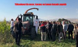 Yüksekova'da Mısır, Karpuz ve Kavun Hasadı Coşkusu