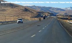 Van-Hakkari Karayolunda Yaban Hayatına Trafik Faciası: 2 Tilki, 1 Kartal ve 1 Tavşan Telef Oldu