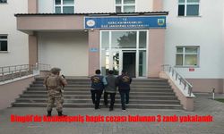 Bingöl’de Kesinleşmiş Hapis Cezası Olan 3 Zanlı Yakalandı