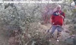 Bolu Mudurnu’da Ayı Saldırısı: Çiftçi Ertan Kan’ın Dehşet Anları