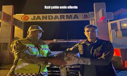 Van’da Bitkin Kızıl Şahin Jandarmanın Eliyle Kurtarıldı
