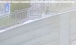 Elazığ’da Yola Fırlayan 4 Yaşındaki Çocuk, Aracın Altında Kalmaktan Son Anda Kurtuldu