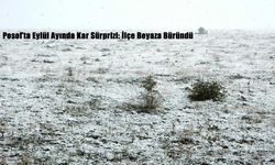 Posof’ta Eylül Ayında Kar Sürprizi: İlçe Beyaza Büründü