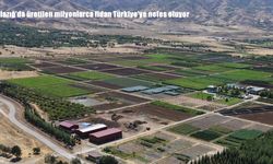 Elazığ’da üretilen milyonlarca fidan Türkiye’ye nefes oluyor