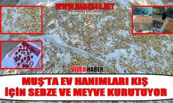 Kışa lezzetli hazırlık: Muş’ta kurutmalık mevsimi başladı