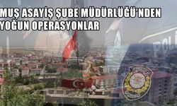 Muş’ta suç ve kaçakçılık operasyonu: 13 binden fazla kişi sorgulandı