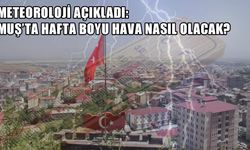 Meteoroloji 5 günlük raporu paylaştı: Muş’ta hava durumu nasıl olacak?