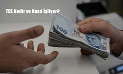 Tamamlayıcı Emeklilik Sistemi (TES) Nedir? İşte Avantajları, Katılım Şartları ve Yürürlük Tarihi