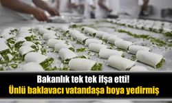 Bakanlık Açıkladı: Gıdalarda Hile Skandalı! Baklavadan Köfteye Tehlike Alarmı