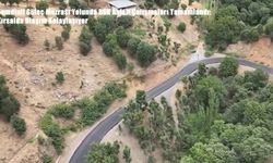 Şemdinli Güleç Mezrası Yolunda BSK Asfalt Çalışmaları Tamamlandı: Kırsalda Ulaşım Kolaylaşıyor