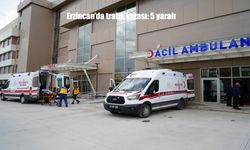 Erzincan’da Otomobil Bariyere Çarptı: 5 Yaralı