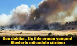Üç Ayrı Noktada Orman Yangını! Hava ve Kara Gücüyle Mücadele Sürüyor