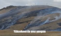 Yüksekova’da Korkutan Anız Yangını: İtfaiye Ekipleri Seferber Oldu