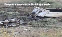 Kamyon şarampole uçtu: Sürücü ağır yaralandı