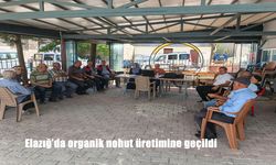 Elazığ’da Kimyasal Gübre Dönemi Bitti: Organik Nohut Üretimi Resmen Başladı