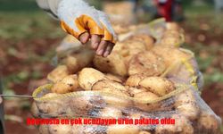 Ağustosta En Çok Ucuzlayan Ürün Patates Oldu
