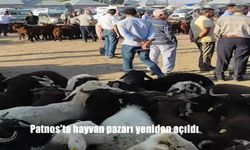 Patnos’ta Hayvan Pazarı Uzun Aradan Sonra Yeniden Açıldı: Bölge Ekonomisi Canlanıyor