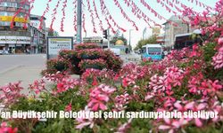 Van Büyükşehir Belediyesi Kent Estetiğini Sardunyalarla Canlandırıyor